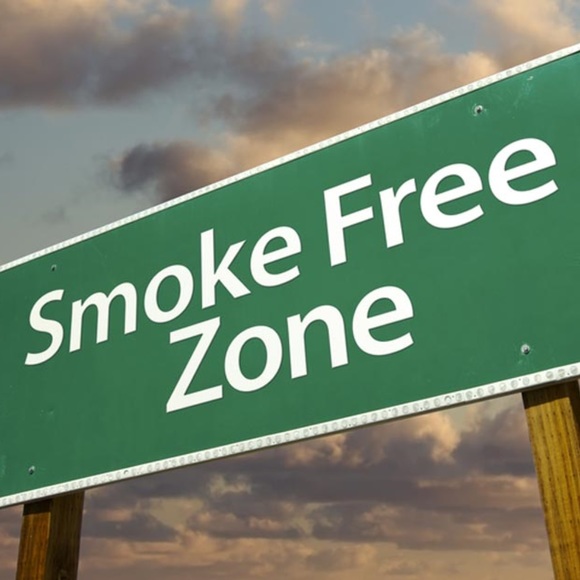 Meet your Posher, GiGi - Picture 4 of 5